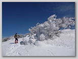 Neige tardive